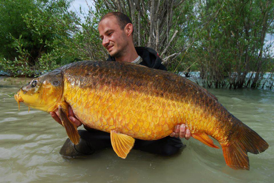 florian tanasa - 481122905042944118411314485101n.jpg